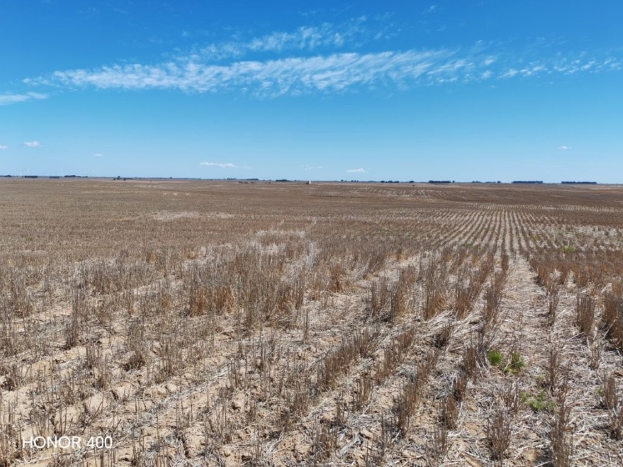 0 Bedroom Property for Sale in Hopefield Rural Western Cape